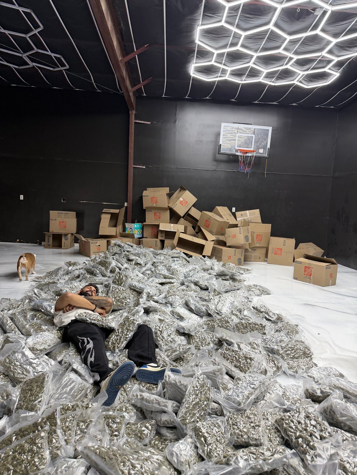 Person lying on a pile of crumpled plastic in an indoor basketball court surrounded by cardboard boxes
